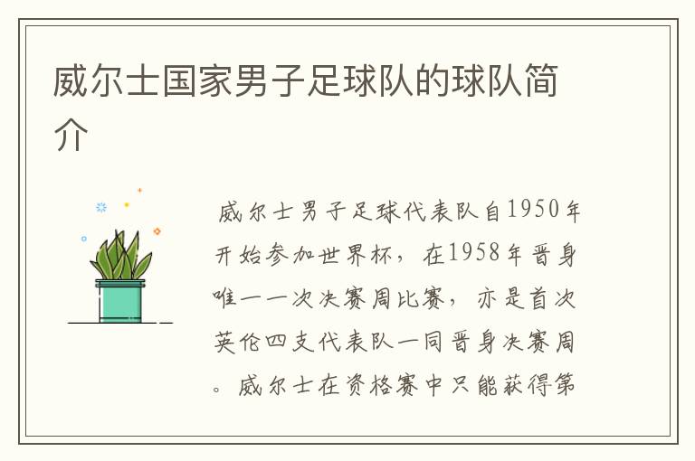 威尔士国家男子足球队的球队简介