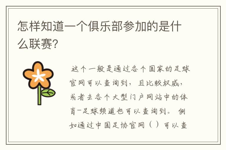 怎样知道一个俱乐部参加的是什么联赛?