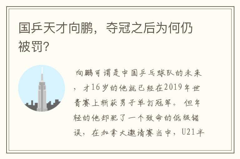国乒天才向鹏,夺冠之后为何仍被罚?