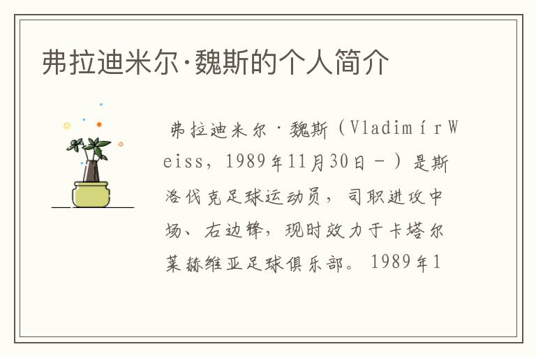 弗拉迪米尔·魏斯的个人简介