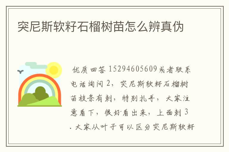 突尼斯软籽石榴树苗怎么辨真伪