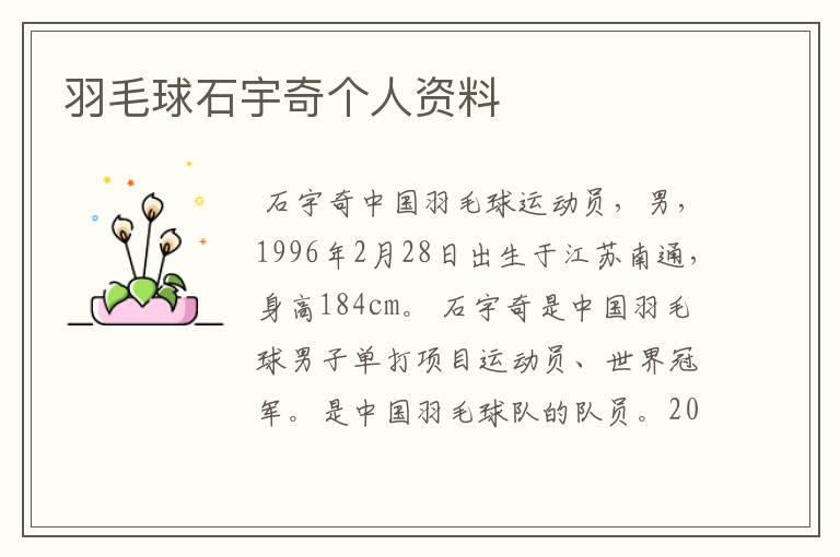 羽毛球石宇奇个人资料