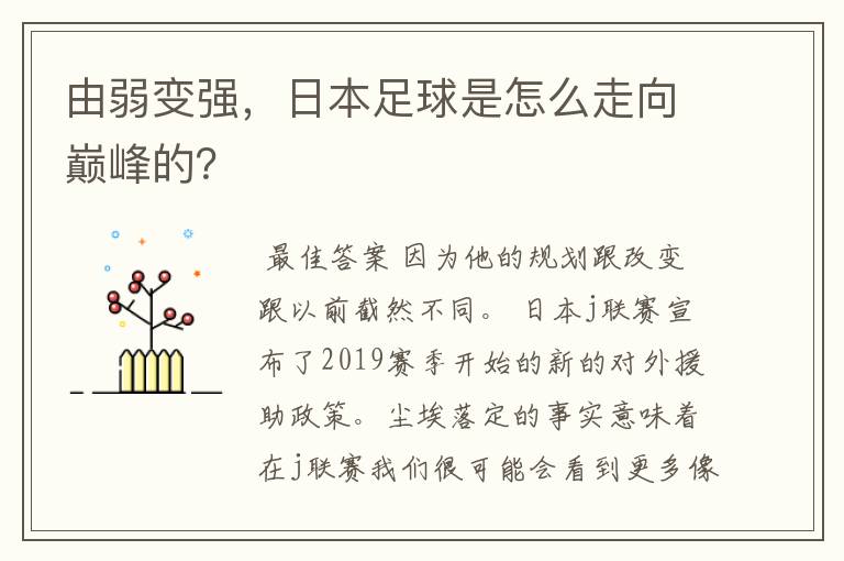 由弱变强,日本足球是怎么走向巅峰的?