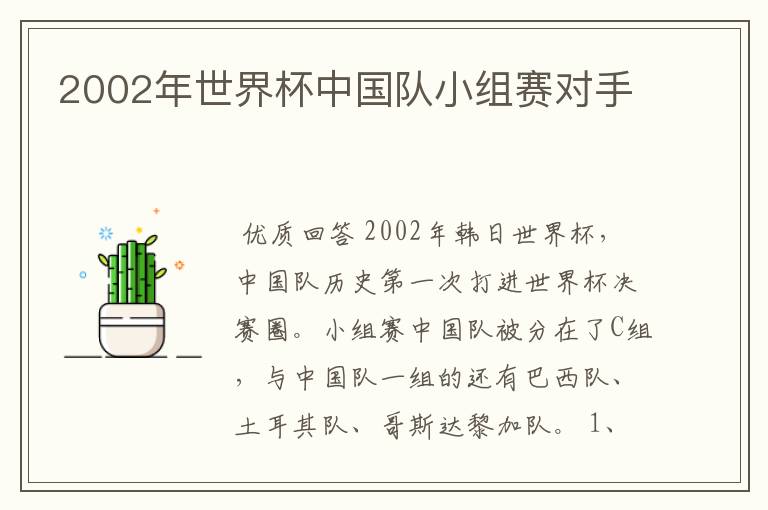 2002年世界杯中国队小组赛对手