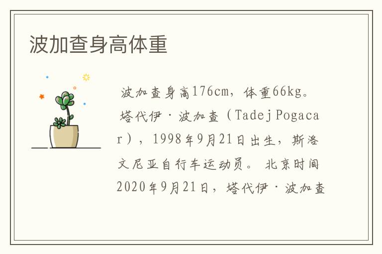 波加查身高体重