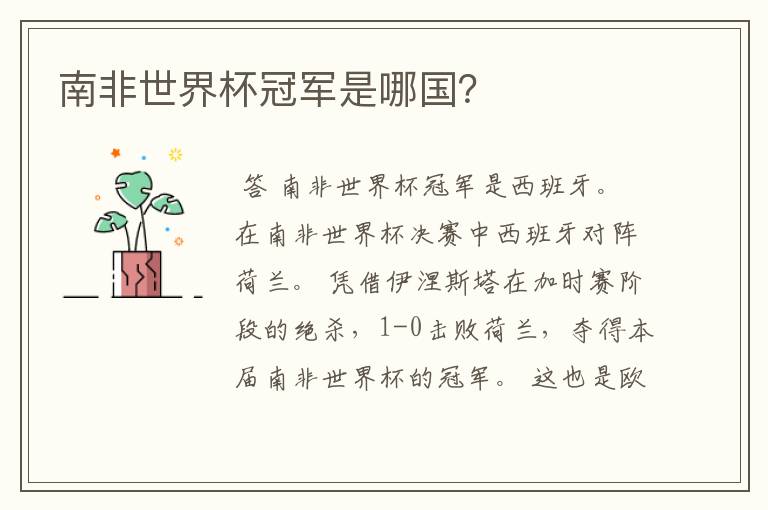 南非世界杯冠军是哪国?