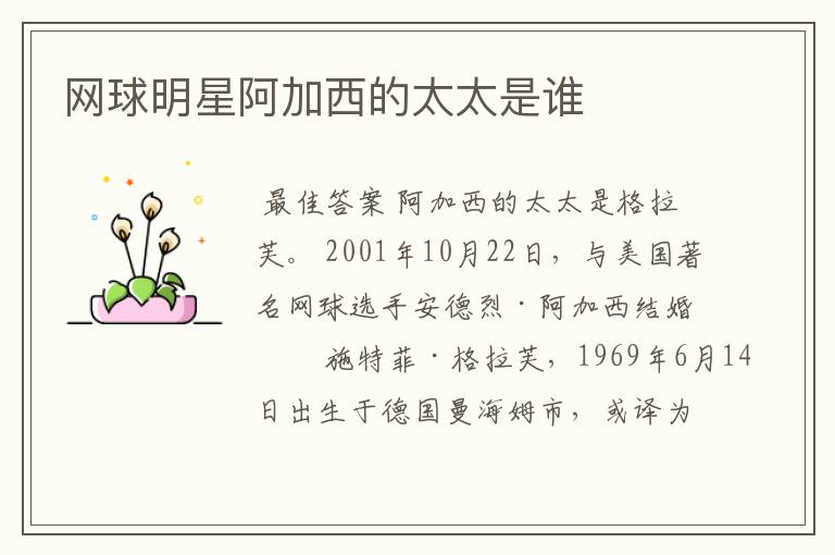 网球明星阿加西的太太是谁
