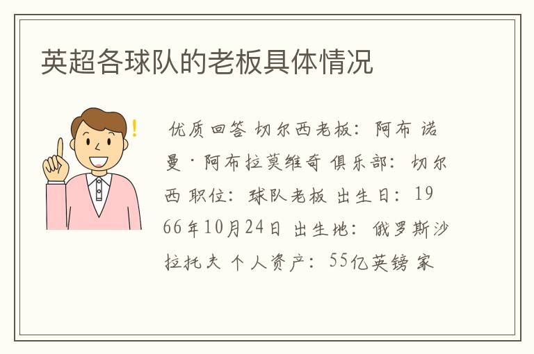 英超各球队的老板具体情况