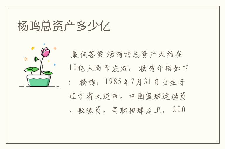 杨鸣总资产多少亿