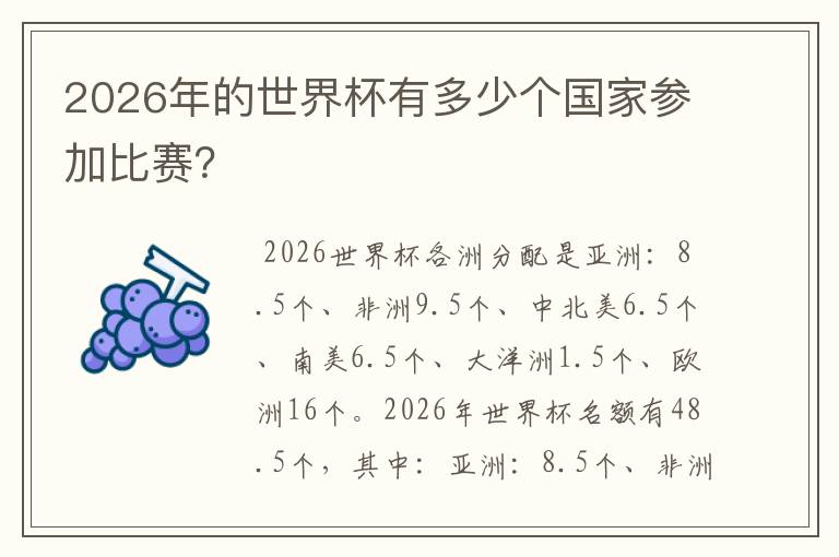 2026年的世界杯有多少个国家参加比赛?