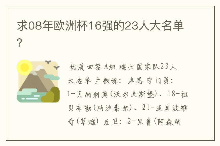 求08年欧洲杯16强的23人大名单?
