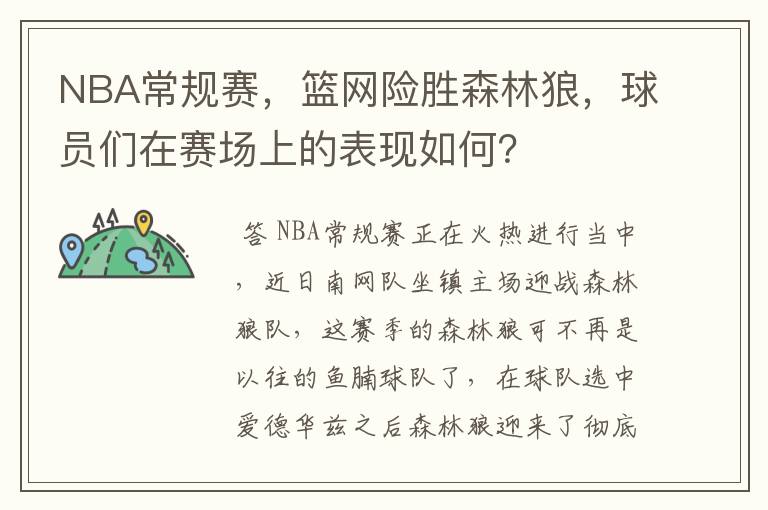 NBA常规赛,篮网险胜森林狼,球员们在赛场上的表现如何?