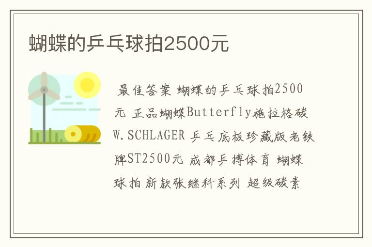 蝴蝶的乒乓球拍2500元