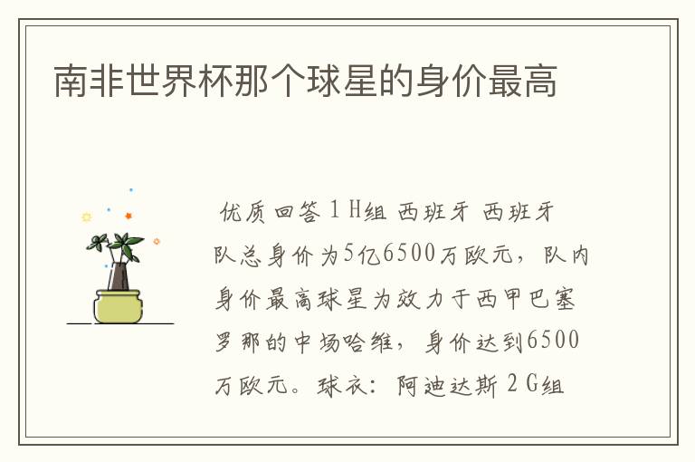 南非世界杯那个球星的身价最高
