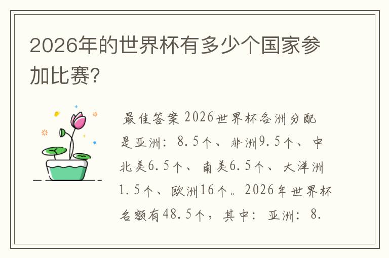 2026年的世界杯有多少个国家参加比赛?