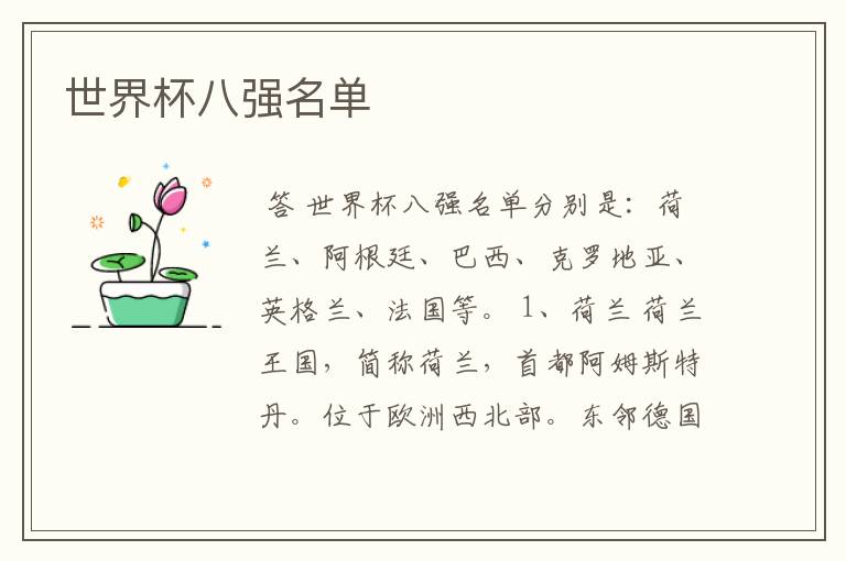 世界杯八强名单