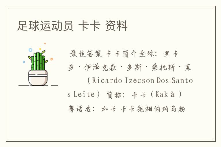 足球运动员 卡卡 资料