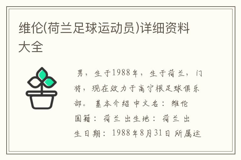维伦(荷兰足球运动员)详细资料大全