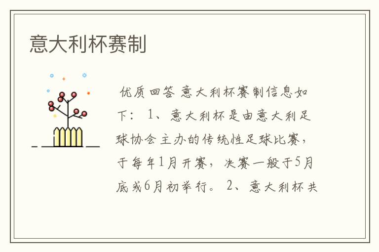 意大利杯赛制