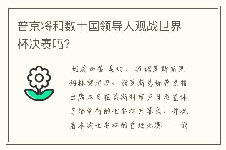 普京将和数十国领导人观战世界杯决赛吗？