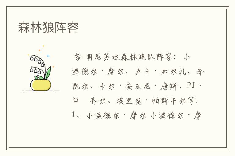森林狼阵容
