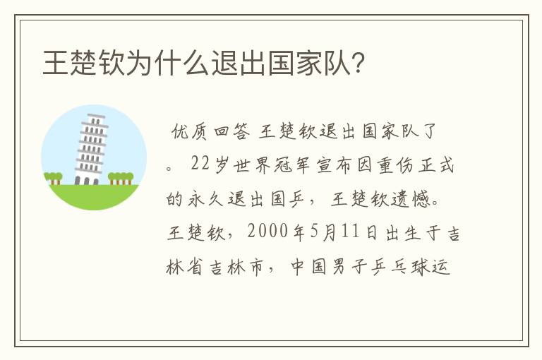 王楚钦为什么退出国家队?