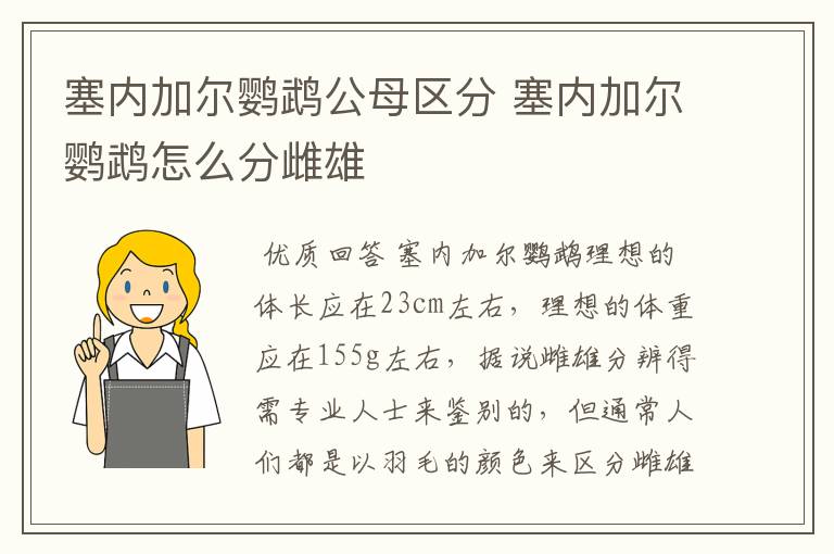 塞内加尔鹦鹉公母区分 塞内加尔鹦鹉怎么分雌雄