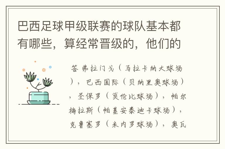 巴西足球甲级联赛的球队基本都有哪些,算经常晋级的,他们的球场都叫什么名
