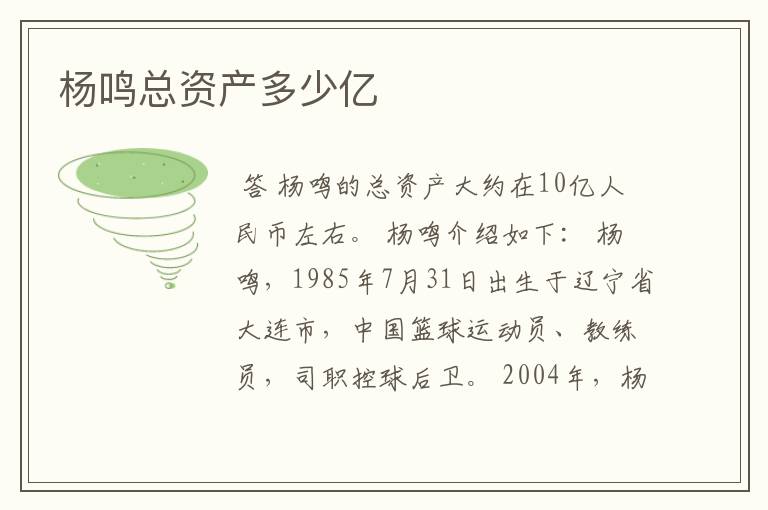 杨鸣总资产多少亿