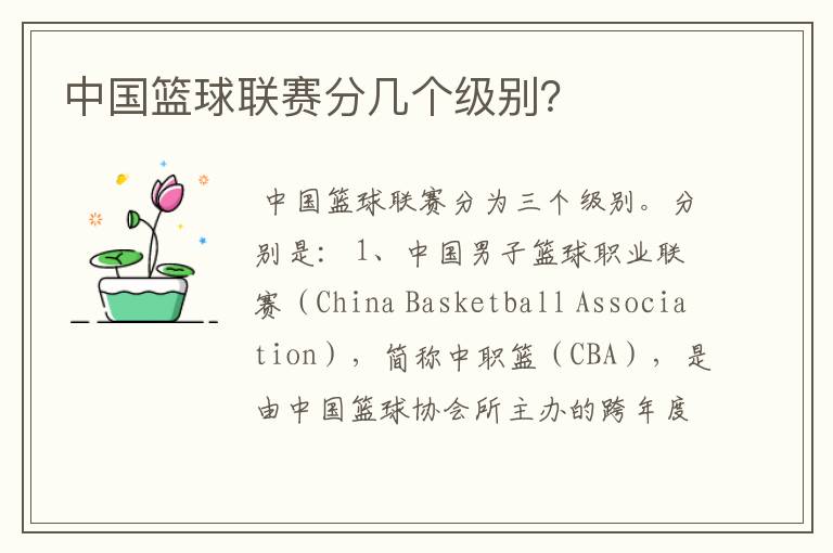中国篮球联赛分几个级别?