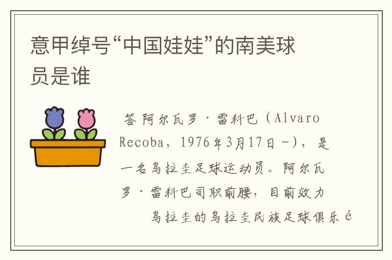 意甲绰号“中国娃娃”的南美球员是谁