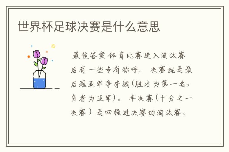 世界杯足球决赛是什么意思