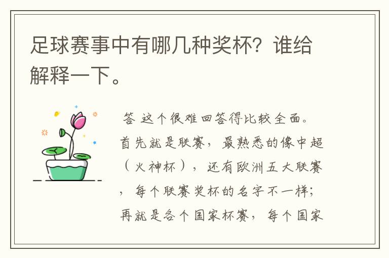 足球赛事中有哪几种奖杯?谁给解释一下。