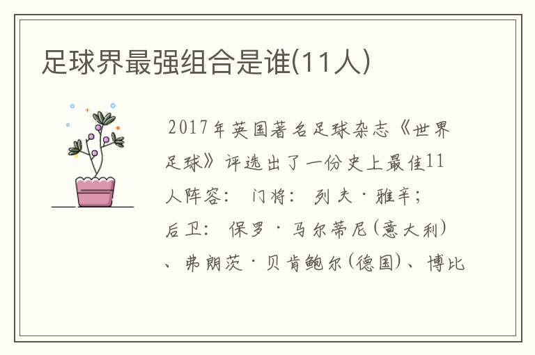 足球界最强组合是谁(11人)