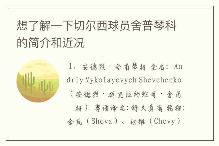 想了解一下切尔西球员舍普琴科的简介和近况