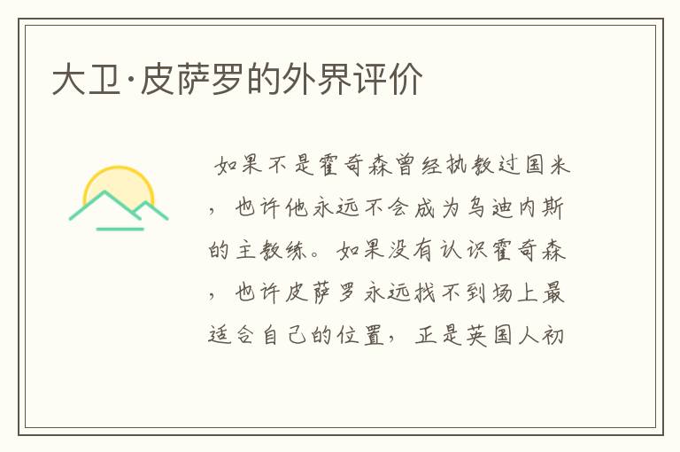 大卫·皮萨罗的外界评价
