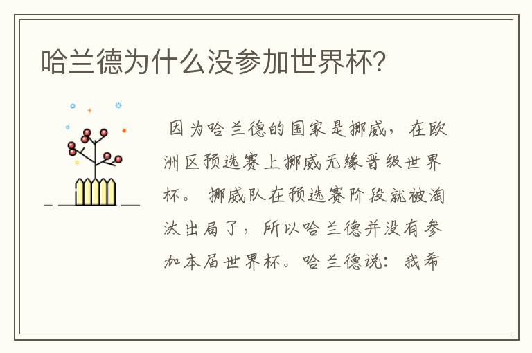 哈兰德为什么没参加世界杯？