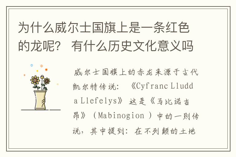为什么威尔士国旗上是一条红色的龙呢? 有什么历史文化意义吗?他们不是说drangon是邪恶的嘛