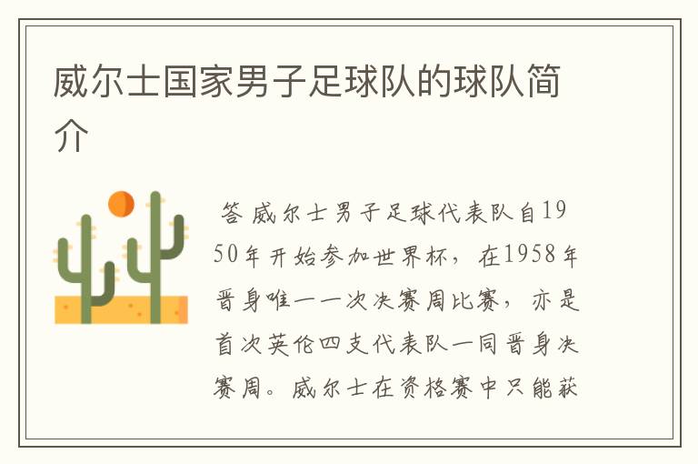 威尔士国家男子足球队的球队简介