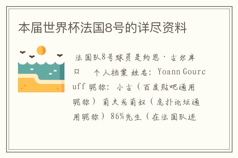 本届世界杯法国8号的详尽资料