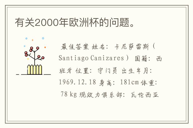 有关2000年欧洲杯的问题。
