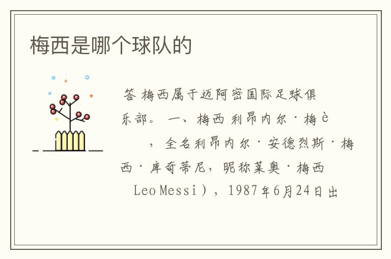 梅西是哪个球队的