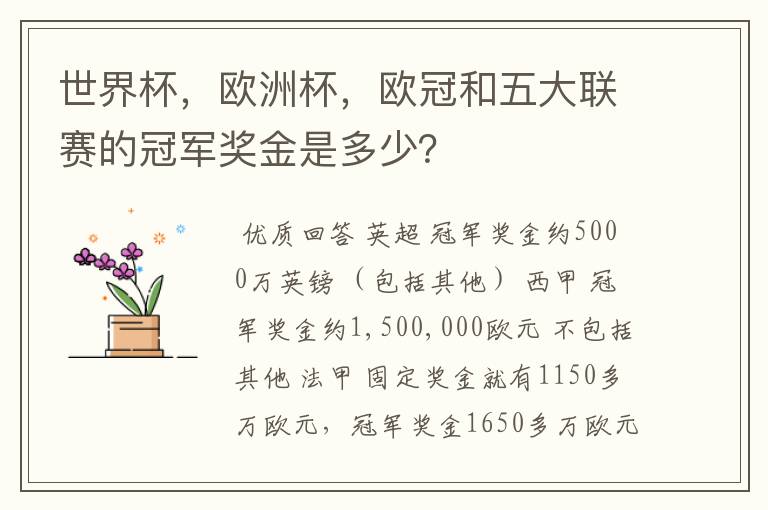 世界杯,欧洲杯,欧冠和五大联赛的冠军奖金是多少?