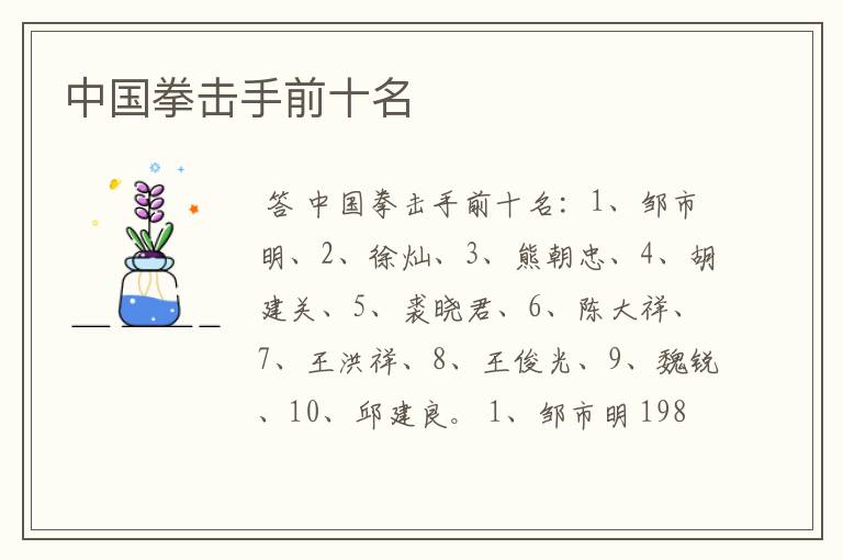 中国拳击手前十名