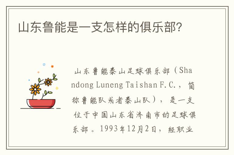 山东鲁能是一支怎样的俱乐部?