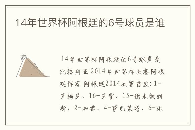 14年世界杯阿根廷的6号球员是谁