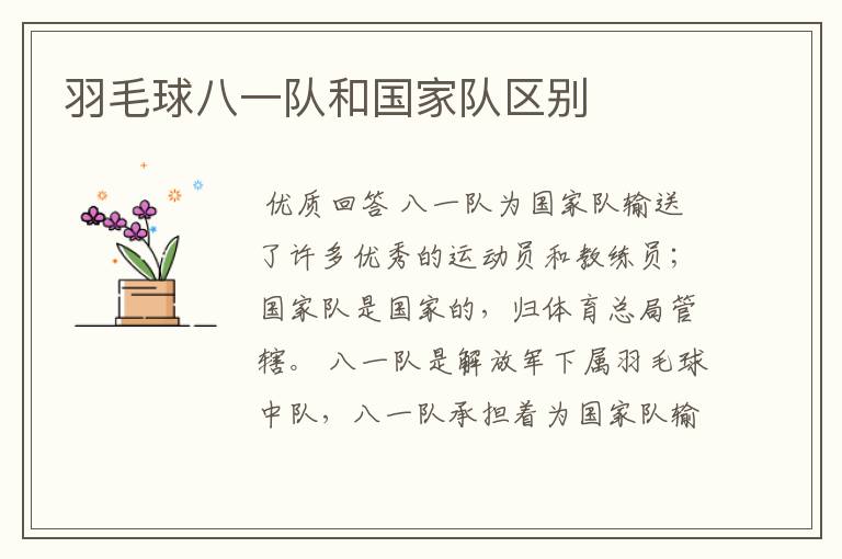 羽毛球八一队和国家队区别