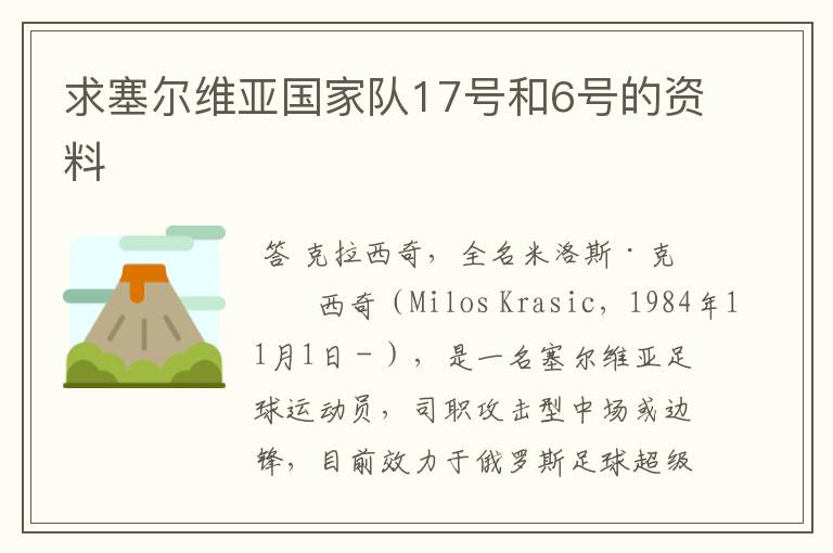 求塞尔维亚国家队17号和6号的资料