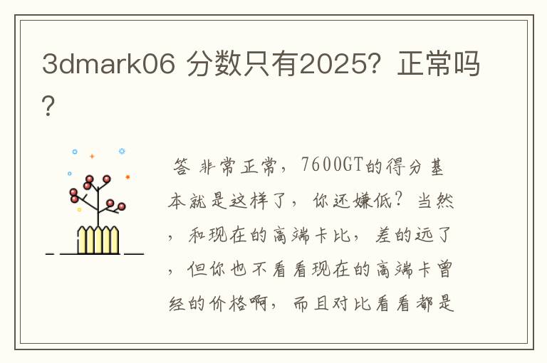 3dmark06 分数只有2025？正常吗？