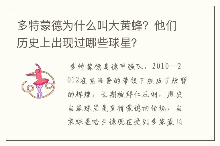 多特蒙德为什么叫大黄蜂?他们历史上出现过哪些球星?